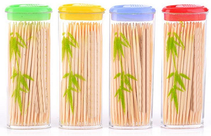 BAMBOO TOOTHPICKS IN POCKET CASE 100/PK