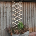 GARDEN TRELLIS 6 X 1 FT