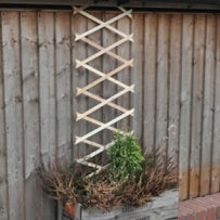 GARDEN TRELLIS 6 X 1 FT