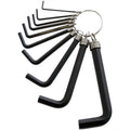 AMTECH HEX KEY SET WITH KEYRING 10/PK