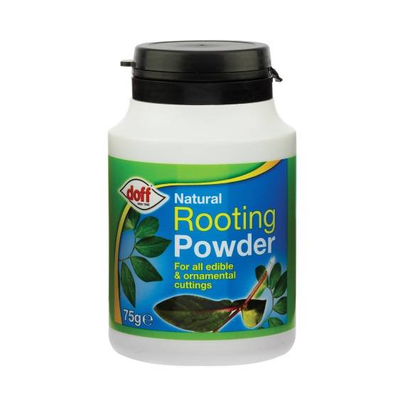DOFF ROOTING POWDER 75GM