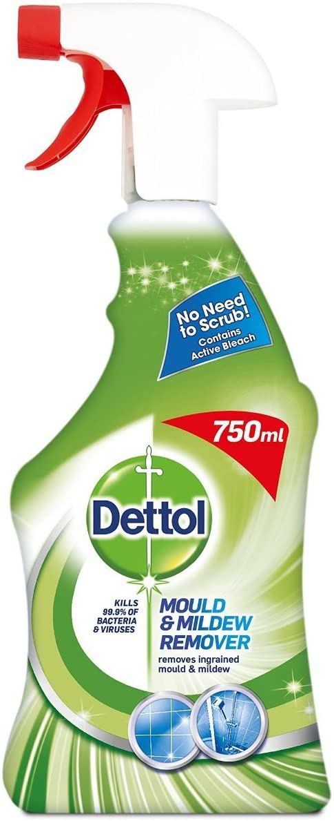 DETTOL ANTI-BACTERIAL MOULD AND MILDEW REMOVER 750 ML